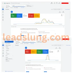 Google Ads Case Study 5