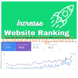 SEO Case Study 1