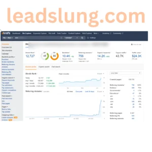 SEO Case Study 2