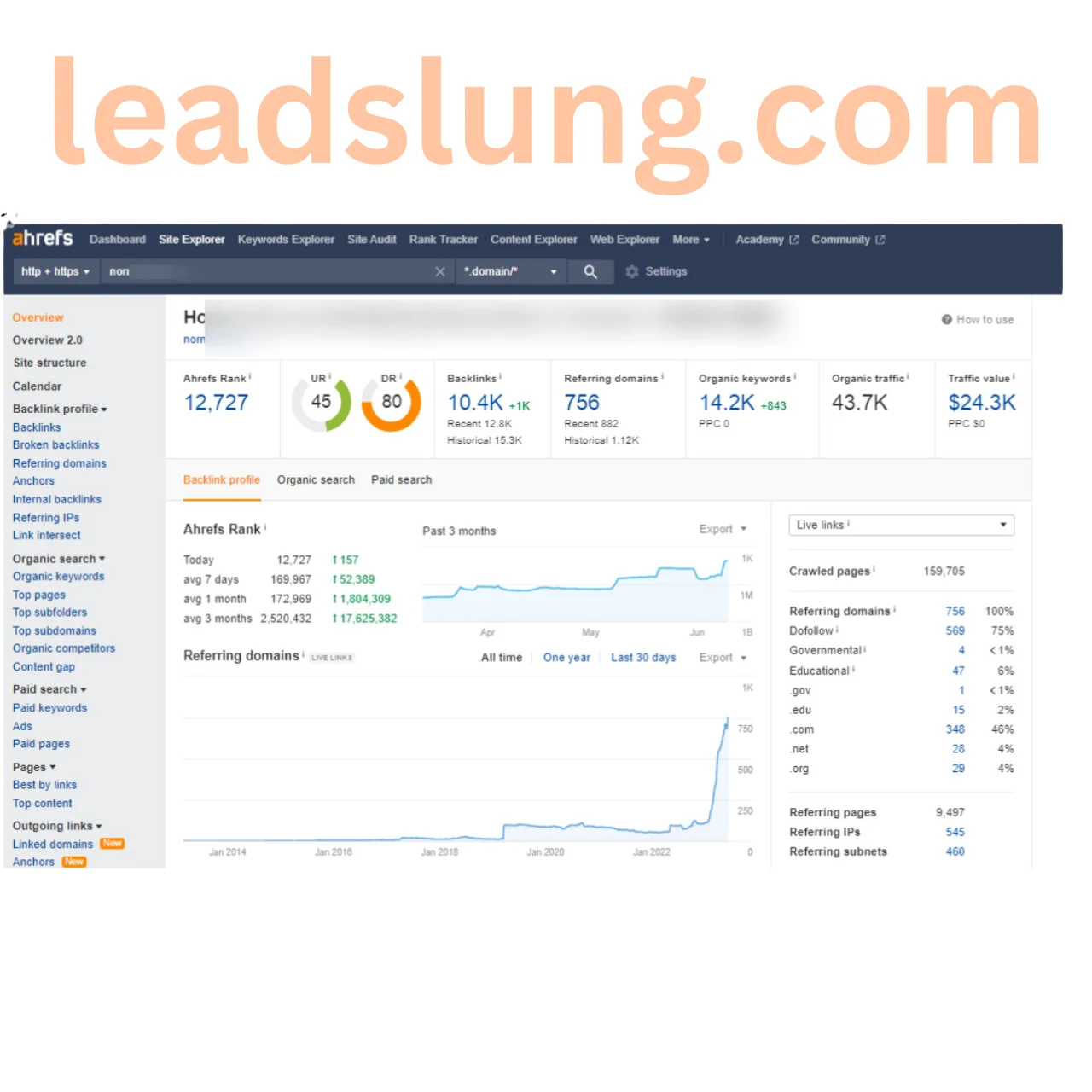 SEO Case Study 2