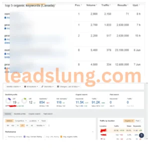 SEO Case Study  3