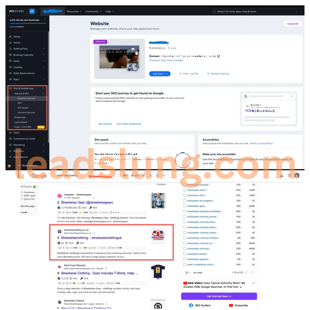 SEO Case Study  4