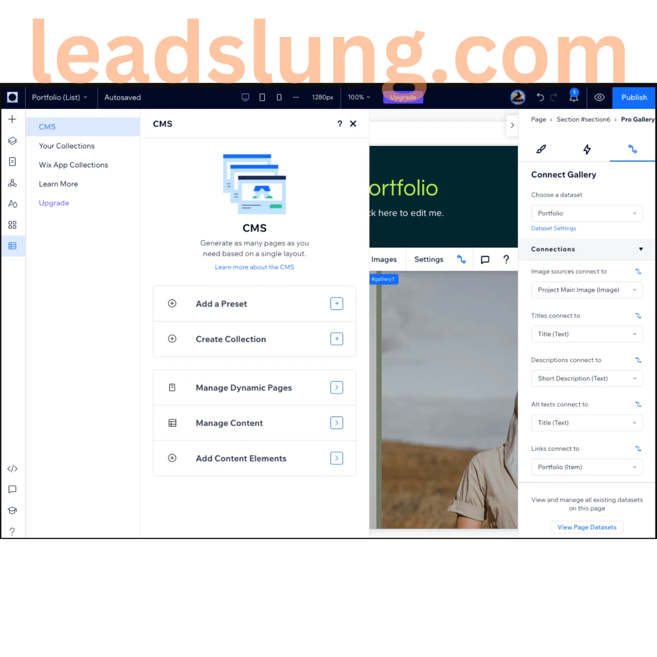 SEO Case Study 6