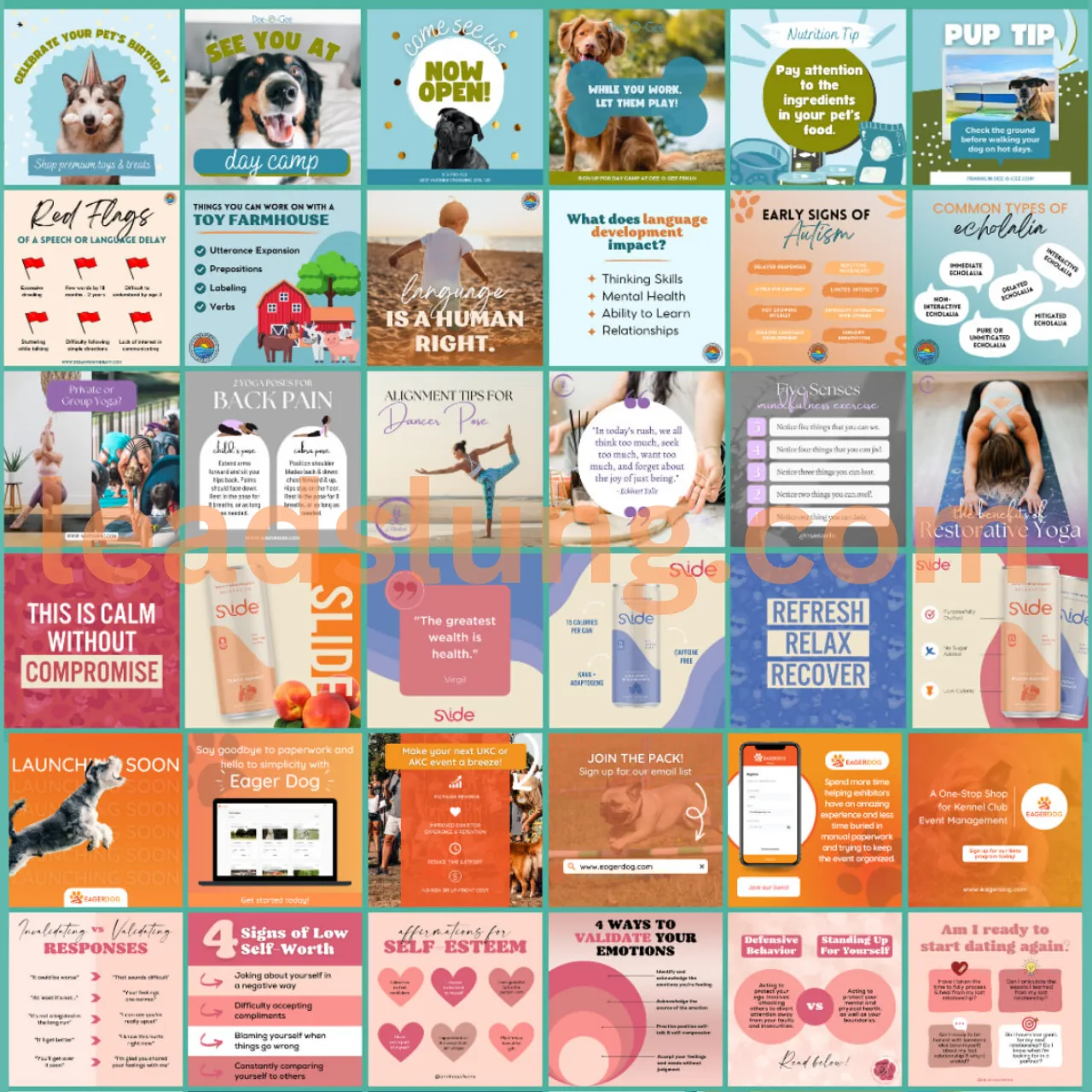 Social Media Case Study 3